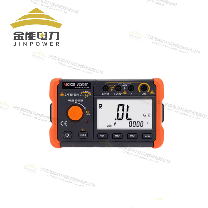勝利絕緣電阻測(cè)試儀VC60B+